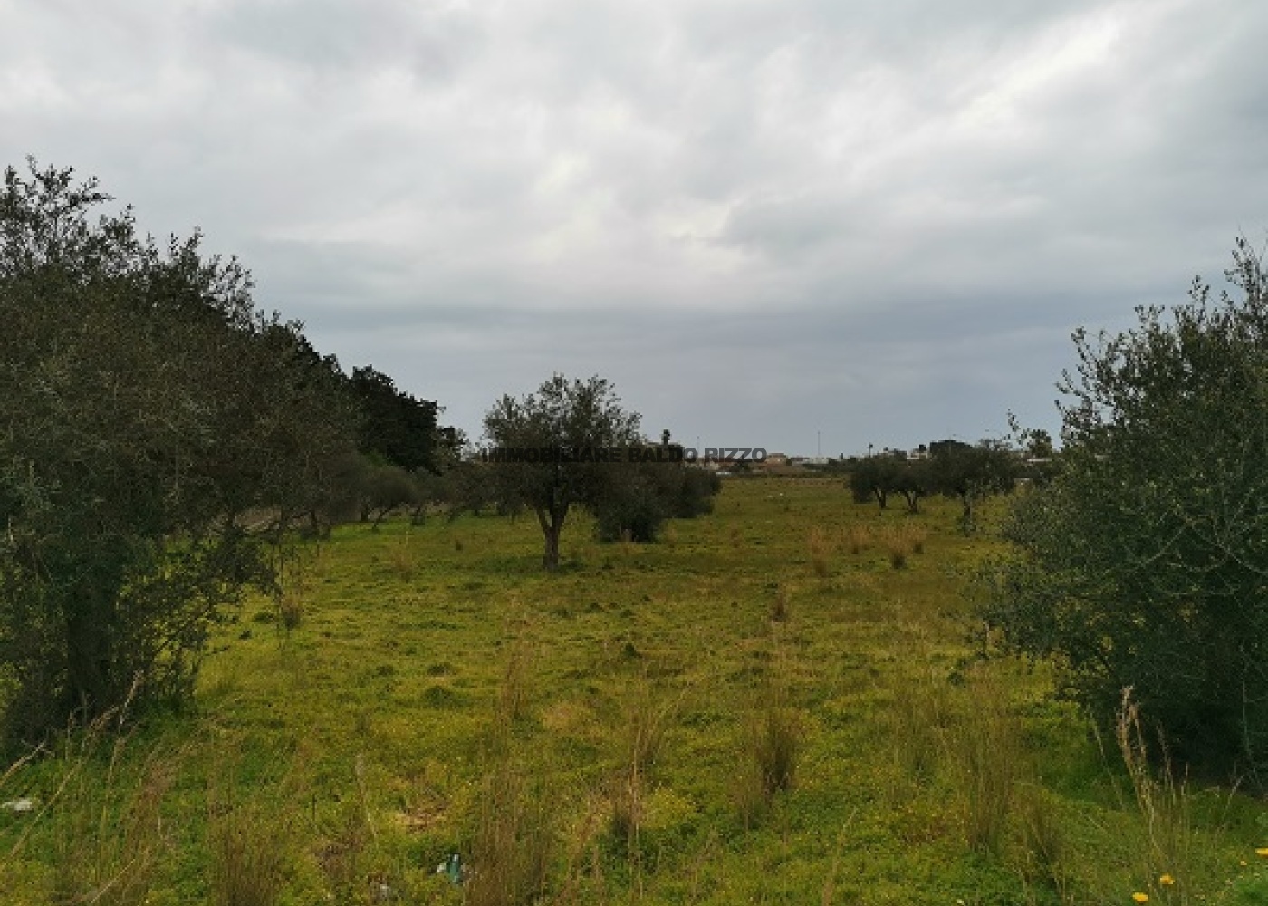 via maranzano,91026,Terreno agricolo,1383