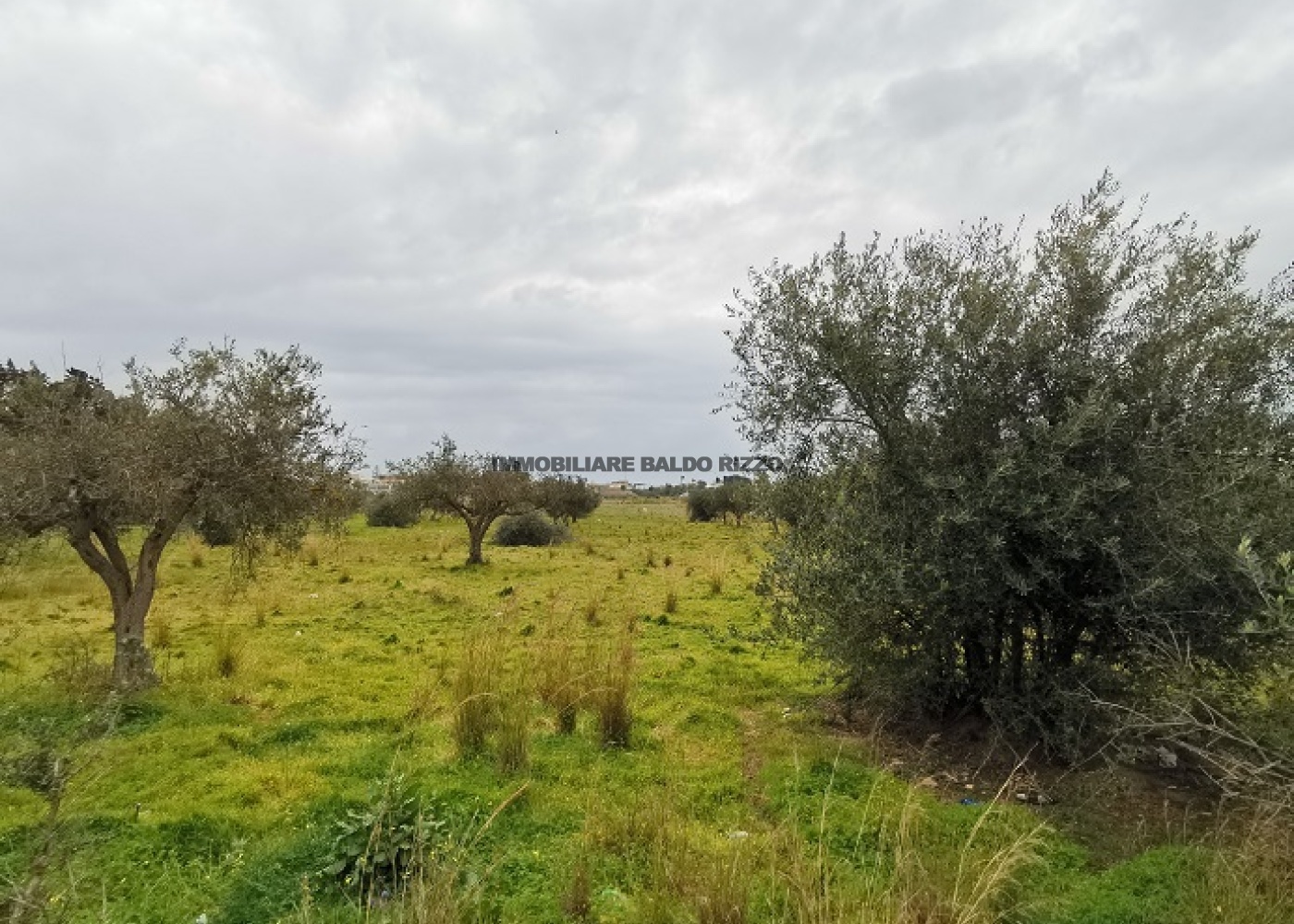 via maranzano,91026,Terreno agricolo,1383