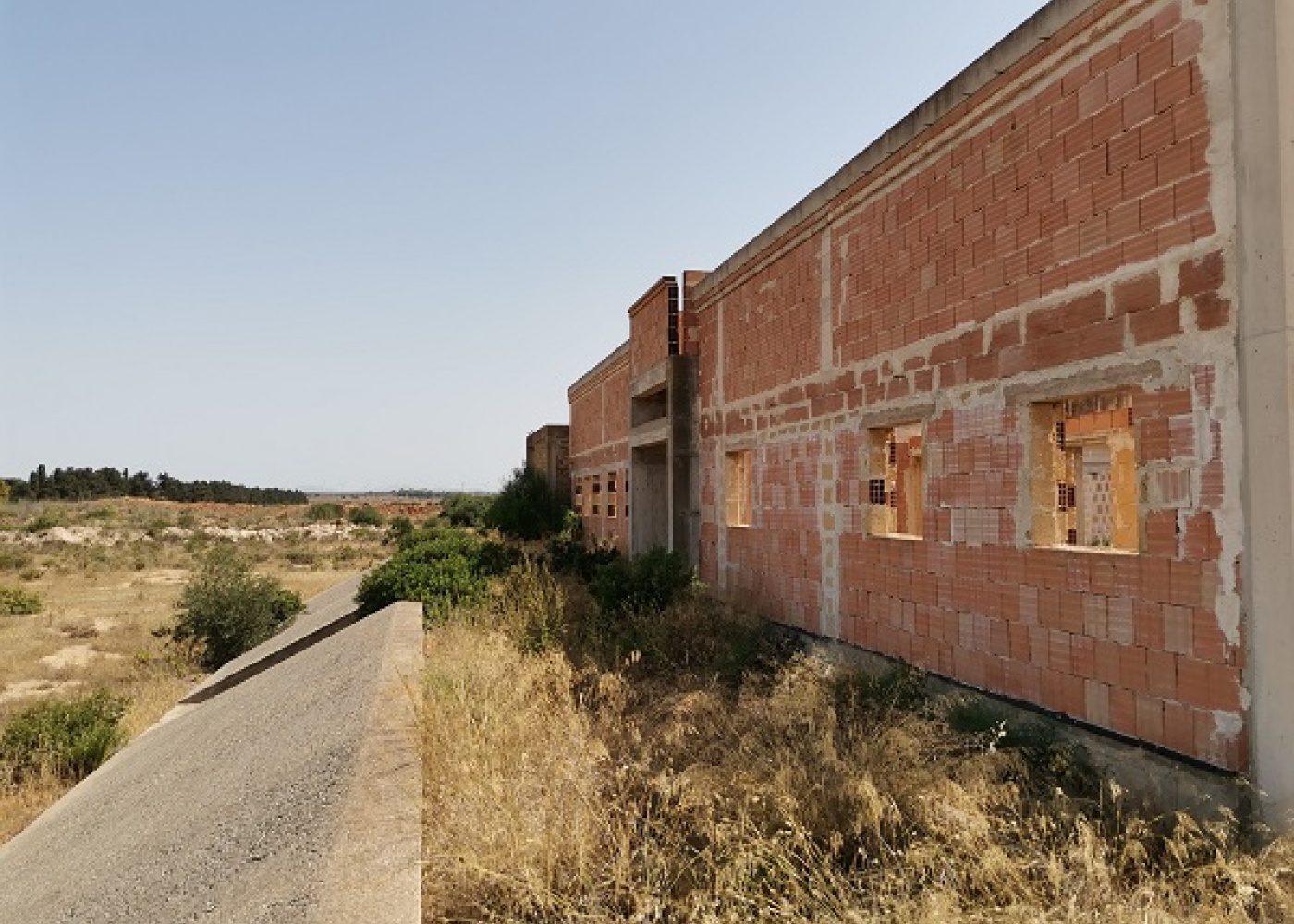 SP. Mazara- Torretta granitola,91026,Terreno agricolo,1386