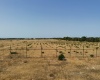 SP. Mazara- Torretta granitola,91026,Terreno agricolo,1386