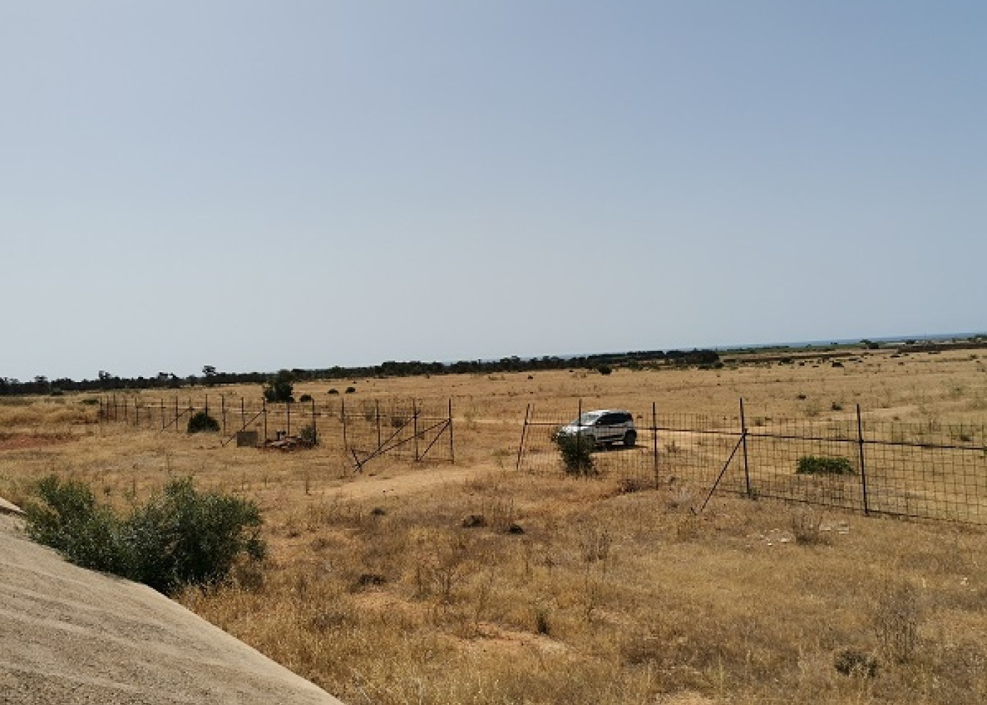 SP. Mazara- Torretta granitola,91026,Terreno agricolo,1386