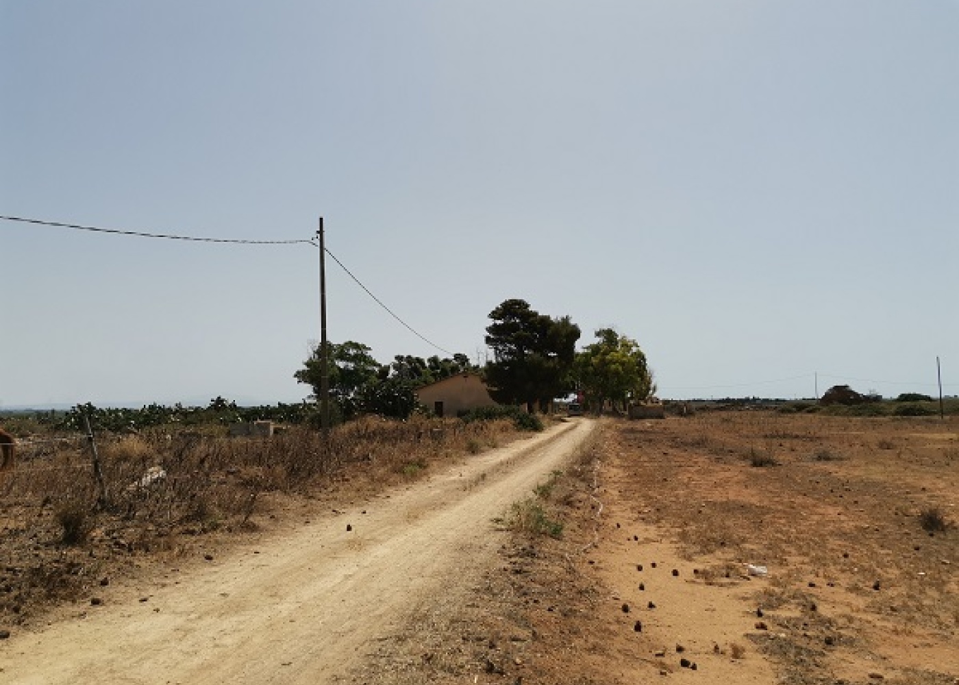 SP. Mazara- Torretta granitola,91026,Terreno agricolo,1386