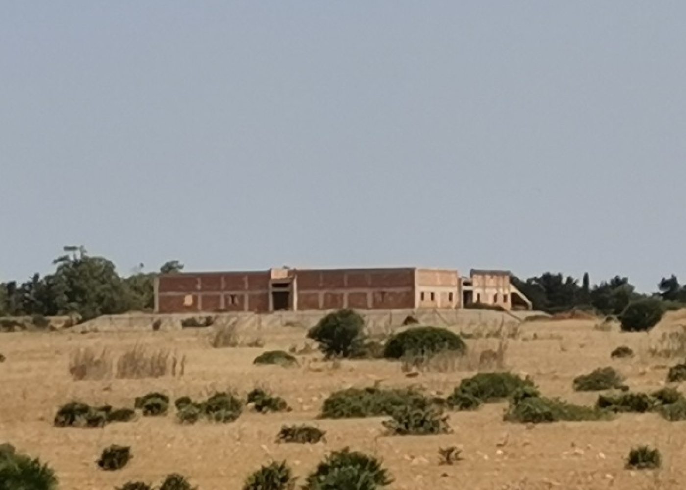 SP. Mazara- Torretta granitola, 91026, ,Terreno agricolo,In vendita,1386