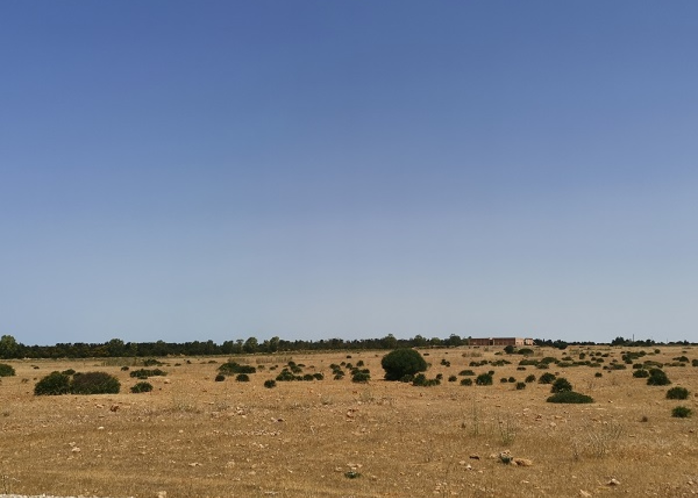 SP. Mazara- Torretta granitola,91026,Terreno agricolo,1386