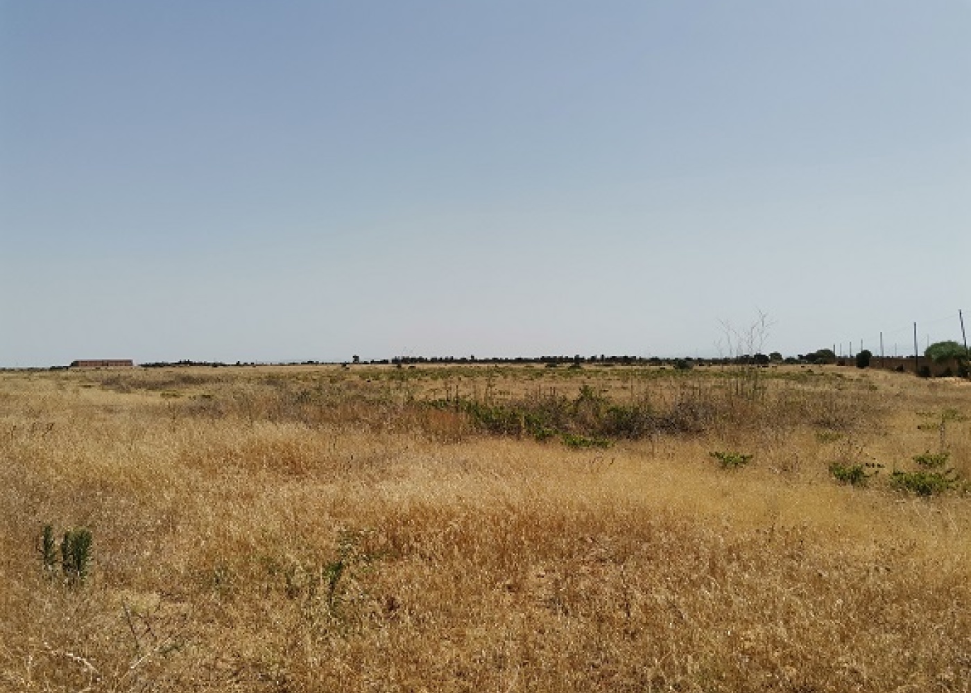 SP. Mazara- Torretta granitola,91026,Terreno agricolo,1386