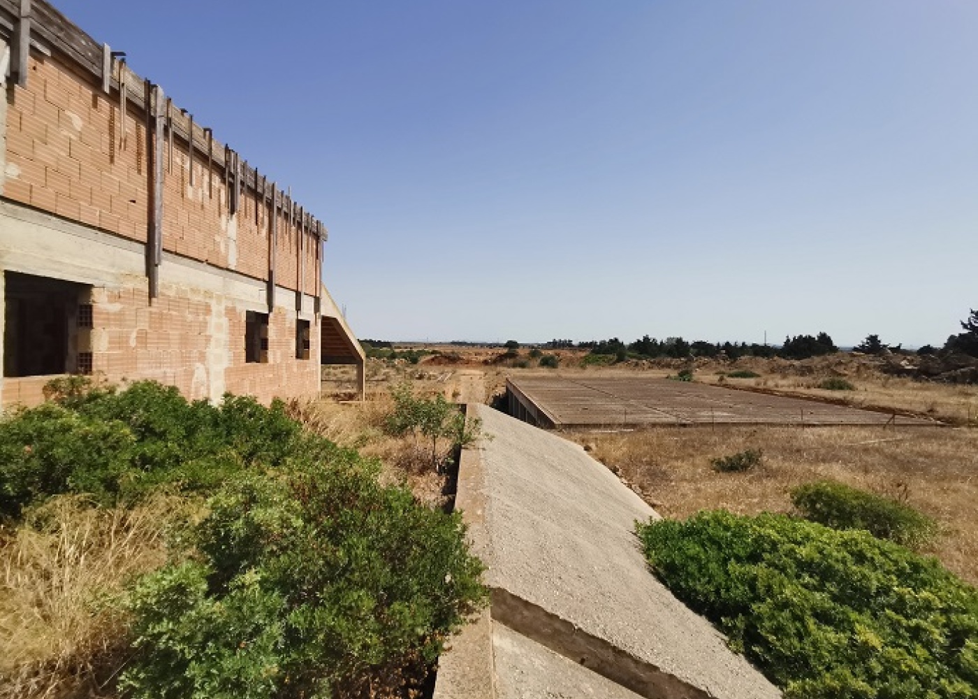 SP. Mazara- Torretta granitola,91026,Terreno agricolo,1386