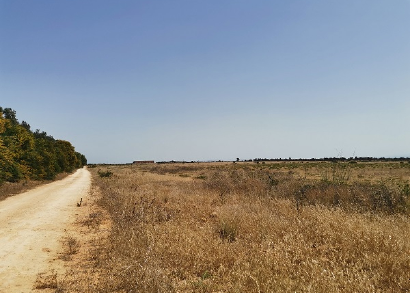 SP. Mazara- Torretta granitola,91026,Terreno agricolo,1386