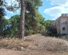 sp.50, 91026, 4 Stanze da Letto Stanze da Letto, ,4 BathroomsBathrooms,Villa,In vendita,1478