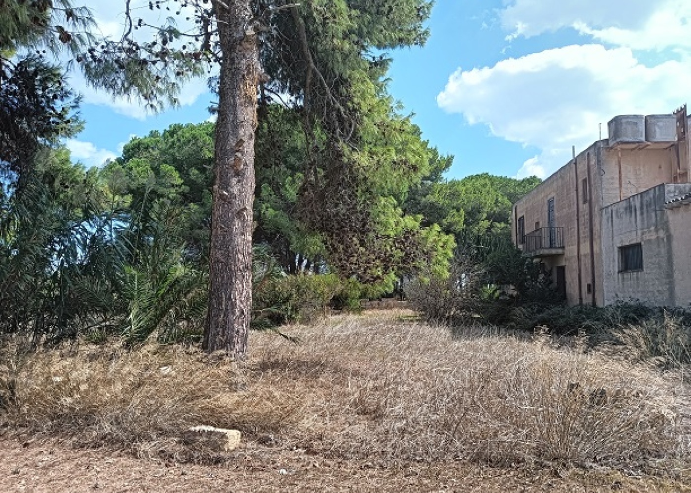 sp.50, 91026, 4 Stanze da Letto Stanze da Letto, ,4 BathroomsBathrooms,Villa,In vendita,1478