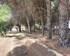 sp.50, 91026, 4 Stanze da Letto Stanze da Letto, ,4 BathroomsBathrooms,Villa,In vendita,1478