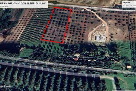 contrada San Nicola, 91026, ,Terreno agricolo,In vendita,1504