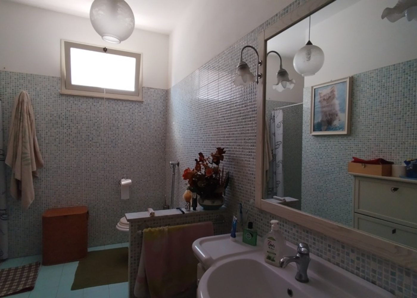 Via Salemi, 82, 91026, 0 , 0 ,0,Casa indipendente,In vendita,Via Salemi, 82,2,1692