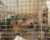 Via Alessandria, snc, 91026, 2 Camera da Letto Stanze da Letto, 0 ,1 BagnoBathrooms,Appartamento,In vendita,Via Alessandria,snc,0,1710