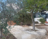 Contrada GIUFFO, s.n.c, 91026, 0 , 0 ,2 BagnoBathrooms,Villetta,In vendita,Contrada GIUFFO, s.n.c,0,1712