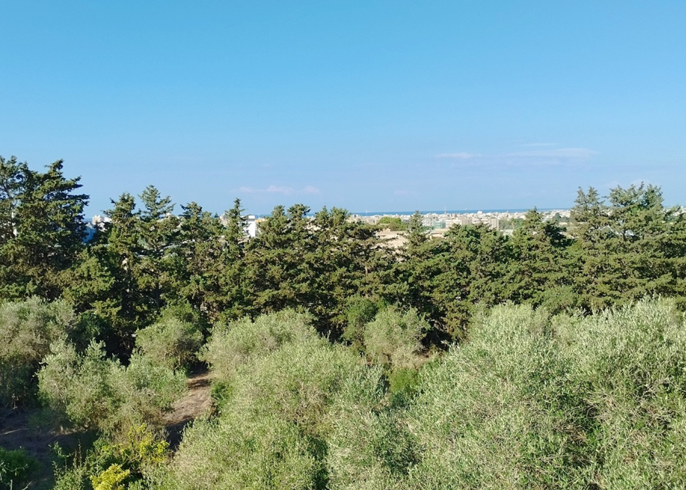 Via dell'Agave, s.n.c, 91026, 4 Camera da Letto Stanze da Letto, 0 ,2 BagnoBathrooms,Villa,In vendita,Via dell'Agave, s.n.c,1,1713
