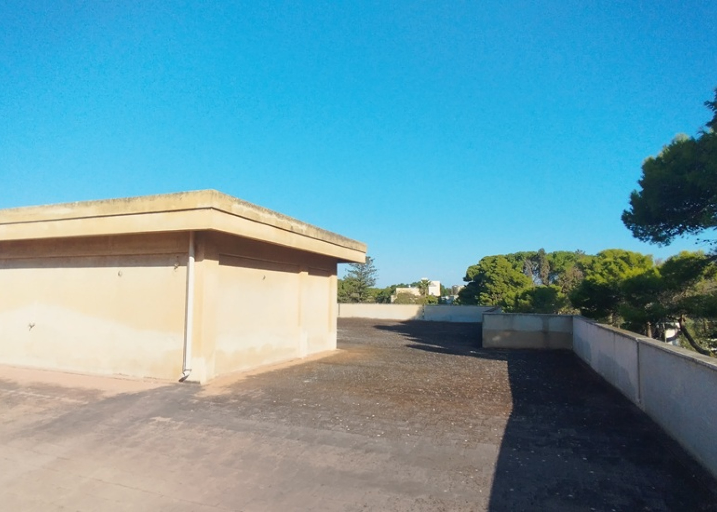Via dell'Agave, s.n.c, 91026, 4 Camera da Letto Stanze da Letto, 0 ,2 BagnoBathrooms,Villa,In vendita,Via dell'Agave, s.n.c,1,1713