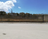 Via Casa Santa, 47, 91026, 0 , 0 ,0,Terreno edificabile,In vendita,Via Casa Santa, 47,0,1716 Via Casa Santa, 47, 91026, 0 , 0 ,0,Terreno edificabile,In vendita,Via Casa Santa, 47,0,1716